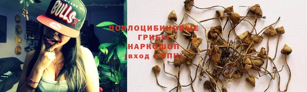 мдма Богородицк